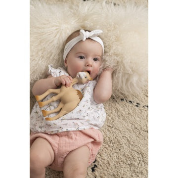 AL'Thir De Dromedaris baby foto sfeer