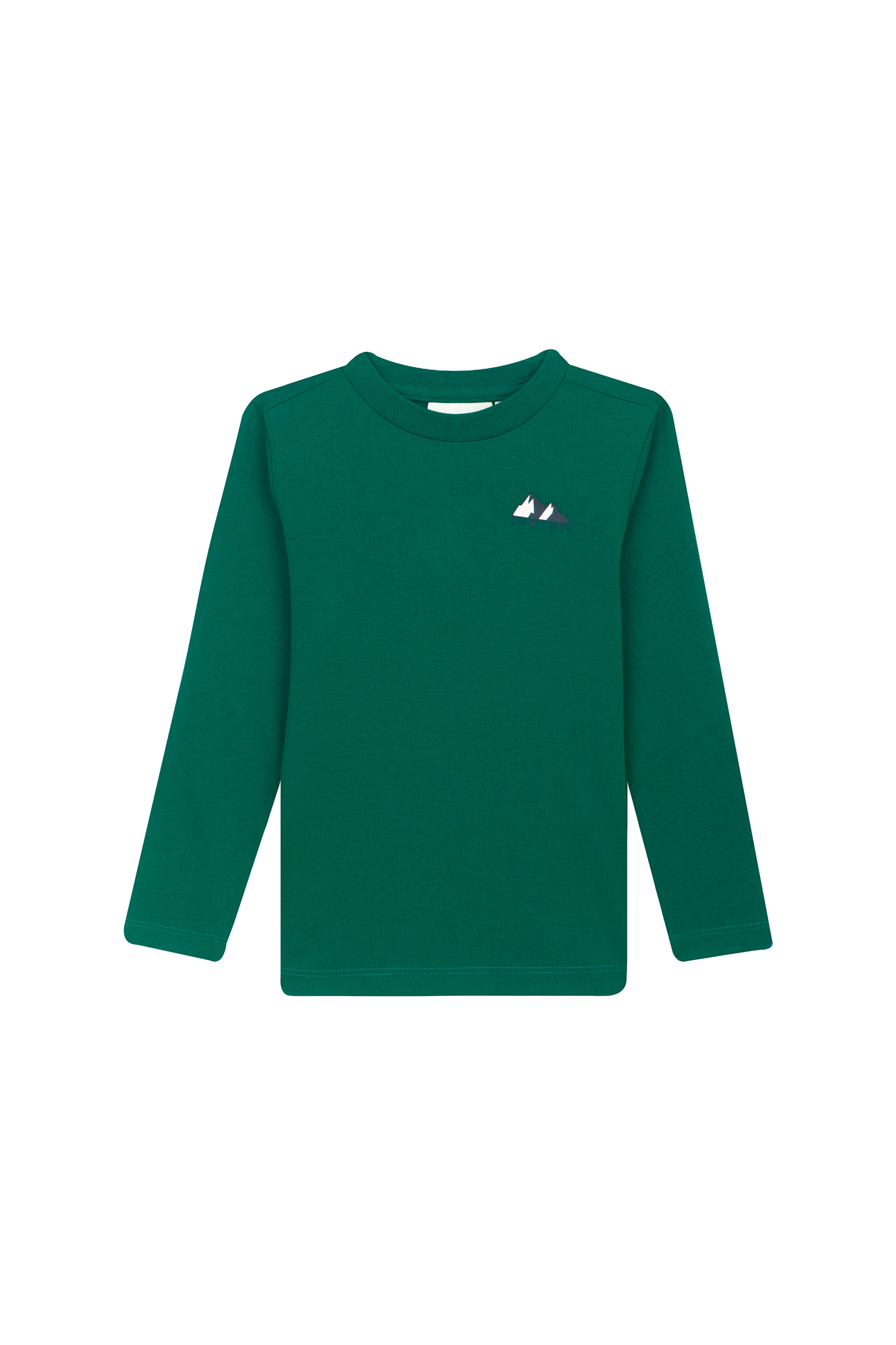 "Someone Sweater ELLIOT-SB-03-G in groen – vooraanzicht"
