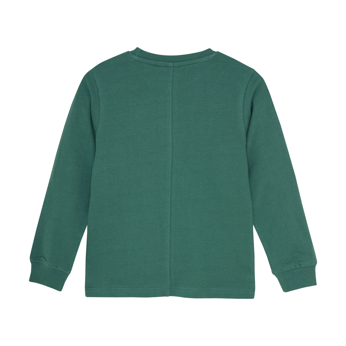 DAILY7 T-shirt Longsleeve Logo - Blue Spruce Achterzijde