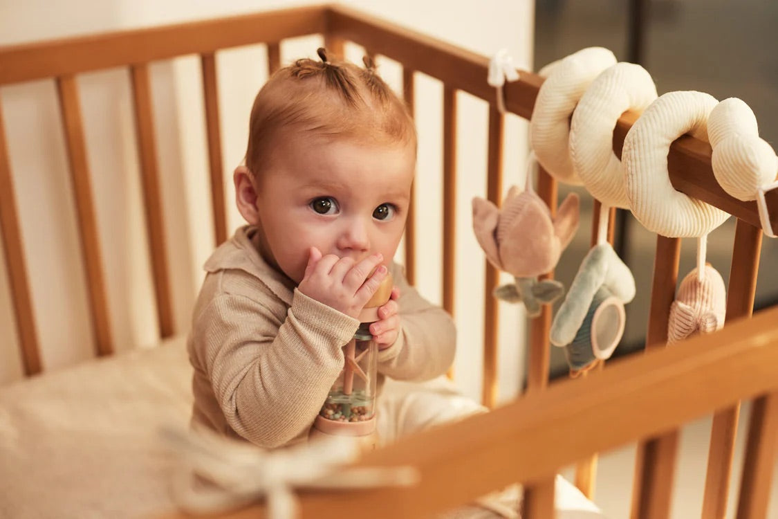 Jollein Houten Regen Rammelaar Lovely Birds Detail