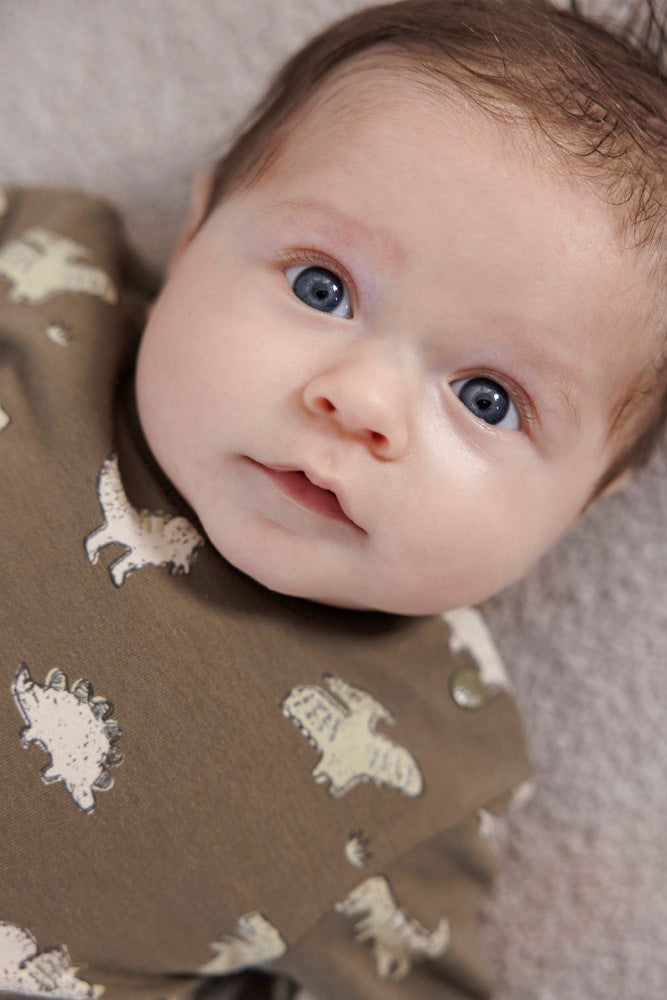 Feetje Sweater AOP - Rawrsome Foto Sweater Aan