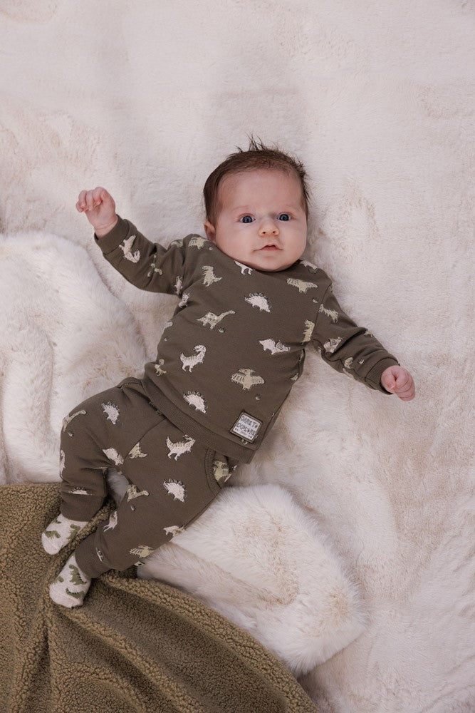 Feetje Sweater AOP - Rawrsome Foto Sweater Aan