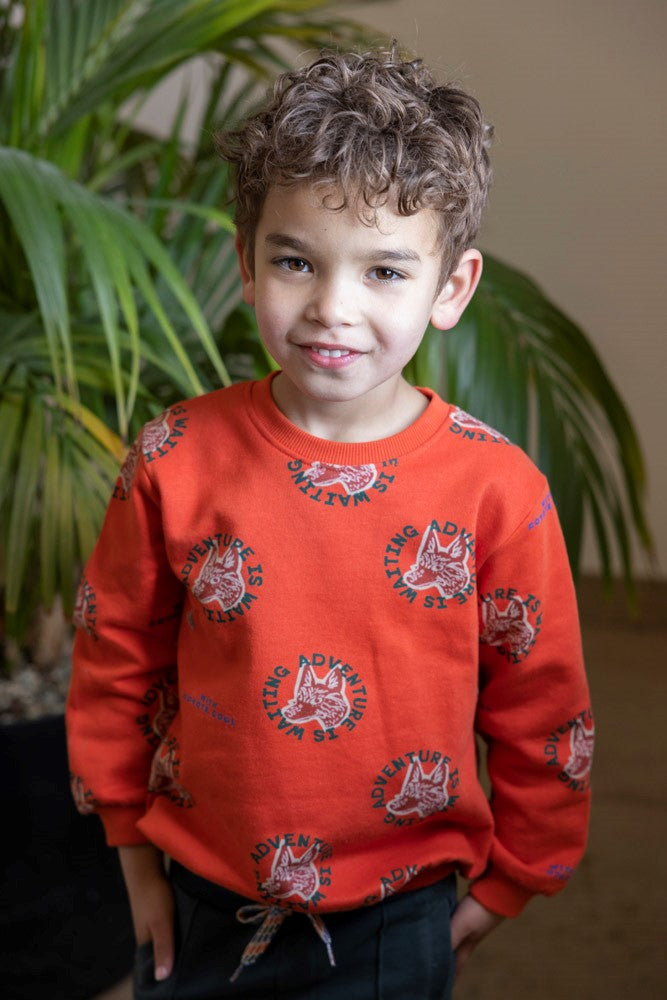 Sturdy Sweater AOP - Chasing Trails Sfeerfoto Sweater Aan