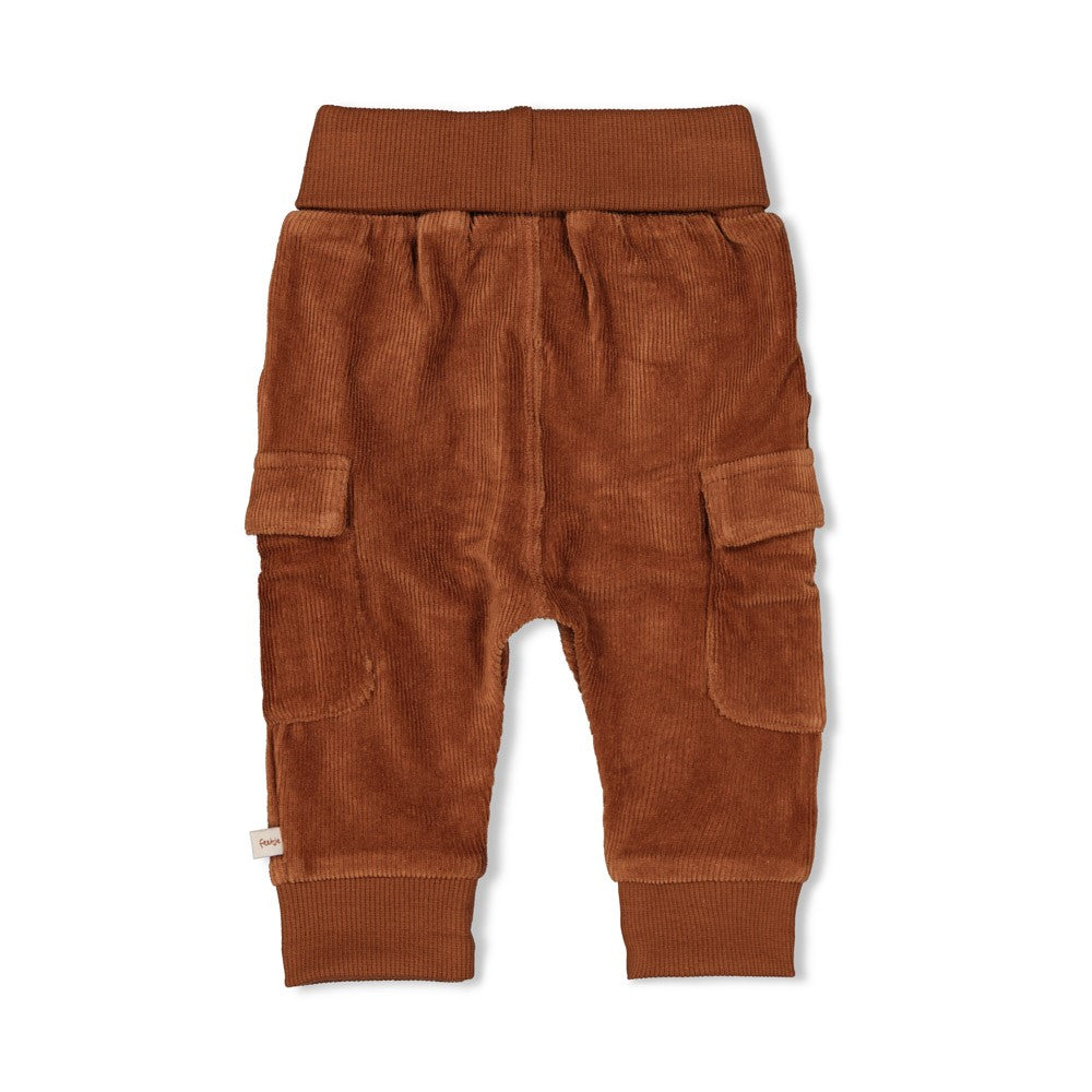 Feetje Broek Velours Rib - Wild World Achterzijde