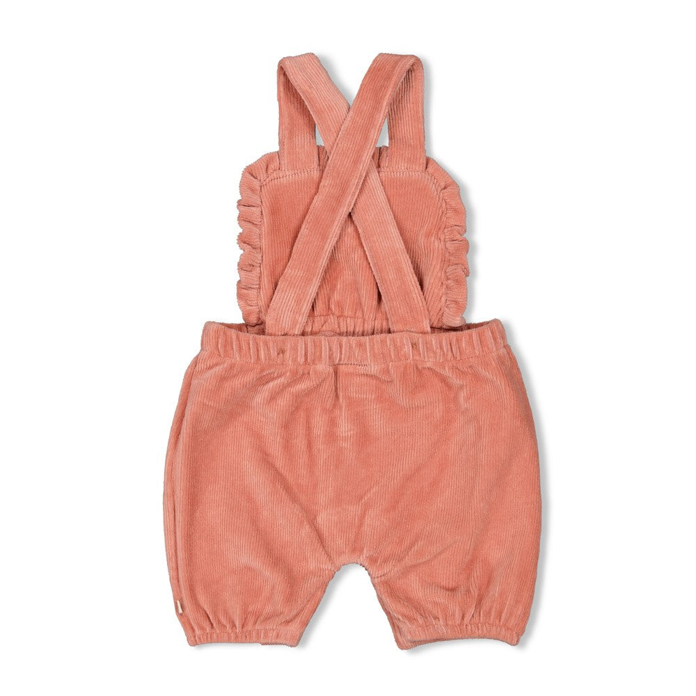 Feetje Tuinbroek Kort Velours Rib -Woodland Bloom Achterzijde