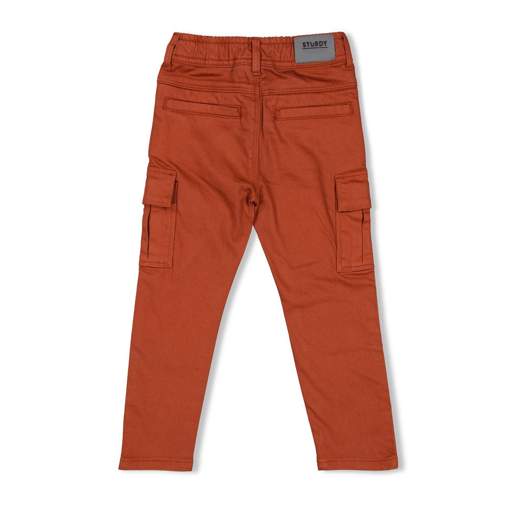 Sturdy Cargo Broek - Chasing Trails Achterzijde
