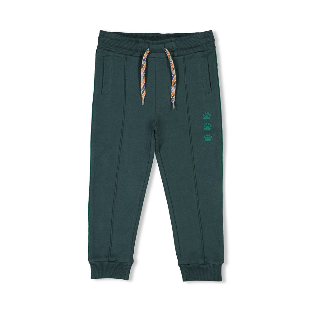 Sturdy Broek - Chasing Trails Voorzijde