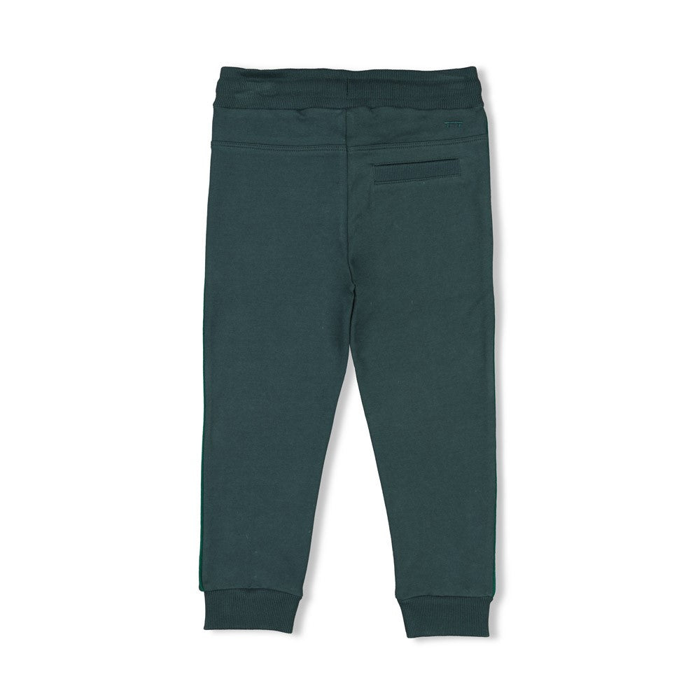 Sturdy Broek - Chasing Trails Achterzijde