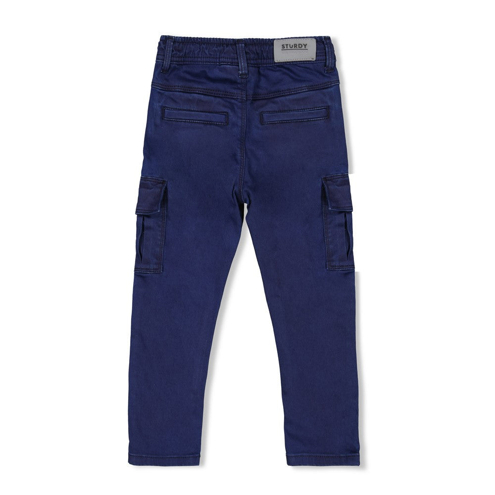 Sturdy Cargo Broek - Waves And Whales Achterzijde
