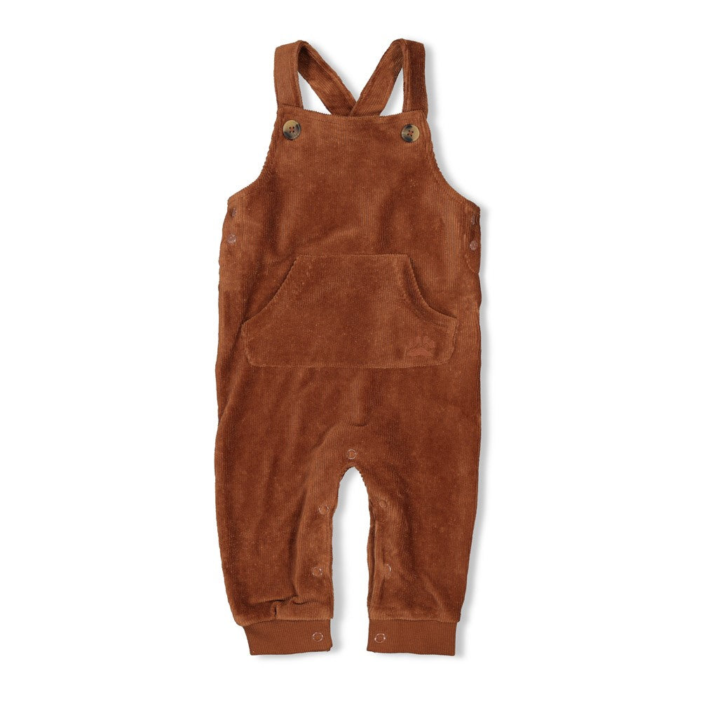Feetje Tuinbroek velours Rib -Wild World Voorzijde