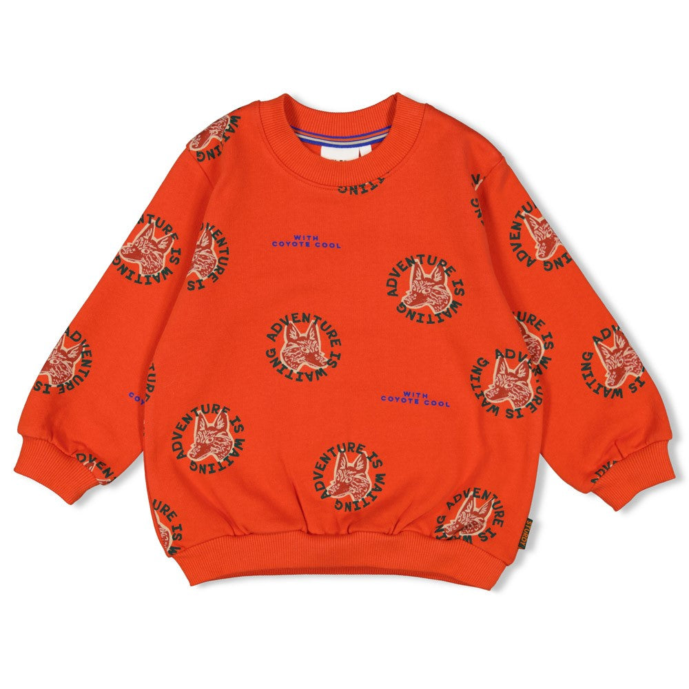 Sturdy Sweater AOP - Chasing Trails Voorzijde