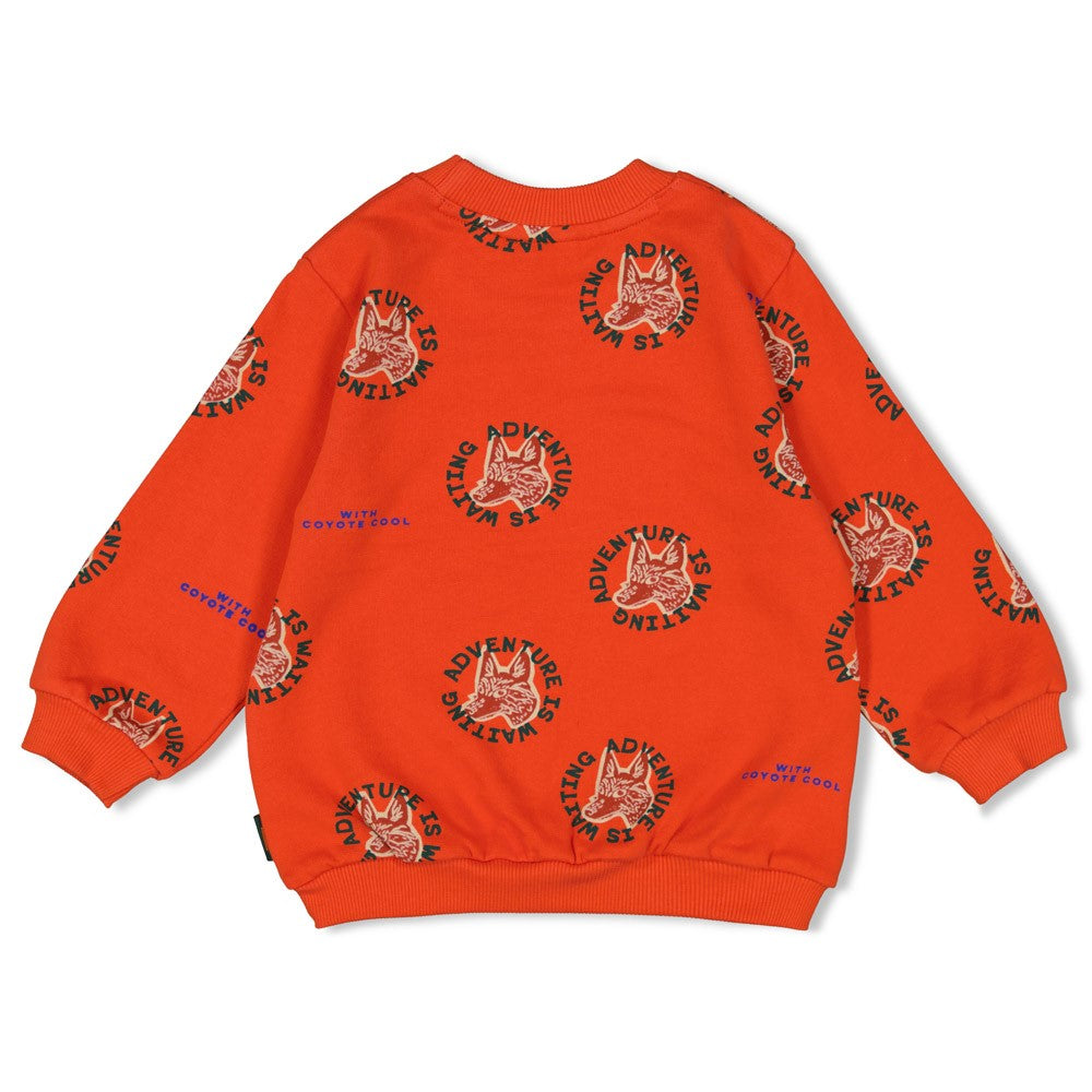 Sturdy Sweater AOP - Chasing Trails Achterzijde