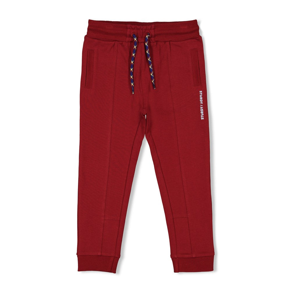 Sturdy Broek - Waves And Whales Voorzijde